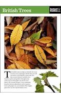British Trees