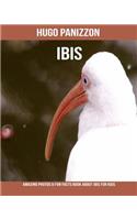 Ibis: Amazing Photos & Fun Facts Book about Ibis for Kids
