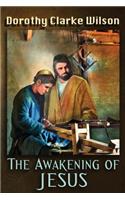 Awakening of Jesus