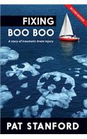 Fixing Boo Boo: A story of traumatic brain injury