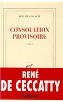 Consolation Provisoire: Roman