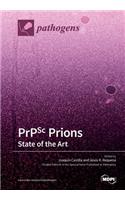 PrPSc Prions: State of the Art