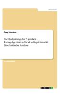 Bedeutung der 3 großen Rating-Agenturen für den Kapitalmarkt. Eine kritische Analyse