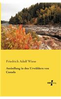 Ansiedlung in den Urwäldern von Canada