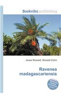 Ravenea Madagascariensis: (English)