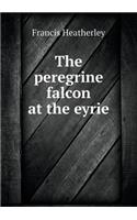 The peregrine falcon at the eyrie