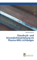 Staudruck- und Stromdichteverteilung im Plasma-MIG-Lichtbogen