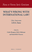 What's Wrong with International Law?