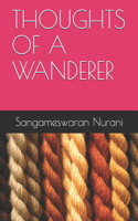 Thoughts of a Wanderer