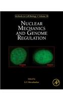 Nuclear Mechanics and Genome Regulation