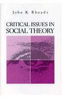 Critical Issues in Social Theory