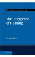 Emergence of Meaning