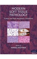 Modern Soft Tissue Pathology