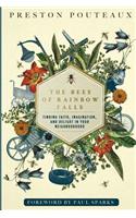 The Bees of Rainbow Falls: Finding Faith, Imagination, and Delight in Your Neighbourhood
