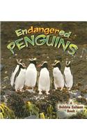 Endangered Penguins