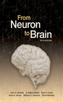 From Neuron to Brain