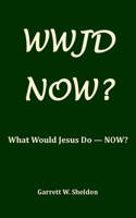 Wwjd-Now?: What Would Jesus Do Now?