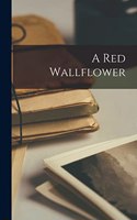 Red Wallflower