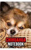 Chihuahua Notebook: Journal / Diary / Notepad, Chihuahua Lover Gifts (Lined, 6 x 9)
