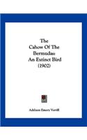 The Cahow Of The Bermudas: An Extinct Bird (1902)