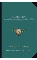Acanthia
