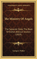 The Ministry of Angels