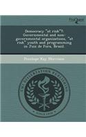 Democracy at Risk?: Governmental and Non-Governmental Organizations