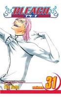 Bleach, Vol. 31