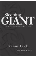 Sleeping Giant