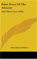Palm Trees Of The Amazon: And Their Uses (1853)