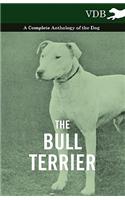 Bull Terrier - A Complete Anthology of the Dog -