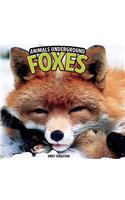 Foxes