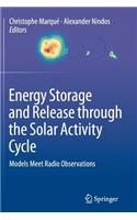 Energy Storage and Release through the Solar Activity Cycle: Models Meet Radio Observations(English)