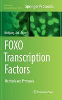FOXO Transcription Factors