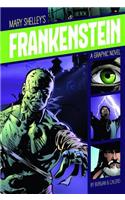 Frankenstein: A Graphic Novel