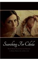 Searching for Cíbola