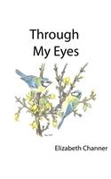 Through My Eyes