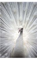 White Peacock Journal: 150 page lined notebook/diary