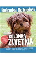 kleine Bolonka Zwetna Ratgeber