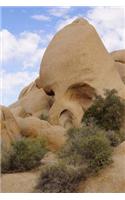 Skull Rock at Joshua Tree National Park California USA Journal