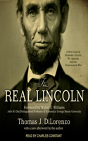 The Real Lincoln