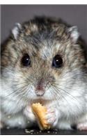 Darling Dwarf Hamster Nibbling a Cracker Portrait Pet Journal: 150 Page Lined Notebook/Diary