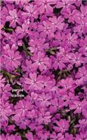 Purple Blossom