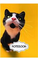 Notebook Journal Bugging Cat