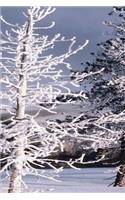 2020 Weekly Planner Winter Theme Snow Covered Trees 134 Pages: 2020 Planners Calendars Organizers Datebooks Appointment Books Agendas