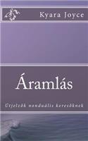 Aramlas: Útjelzök Nonduális Keresöknek