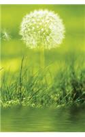 Dandelion Green Notebook