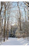 2019 Weekly Planner Winter Weather Sunlight Shadows 134 Pages: (Notebook, Diary, Blank Book)(2019 Planners Calendars Organizers Datebooks Appointment Books Agendas)
