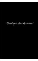 Bitch You Don't Know Me!