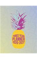 Three Year Planner 2020-2022